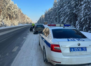 В условиях сильных заморозков автоинспекторы оказывают необходимую помощь водителям транспортных средств